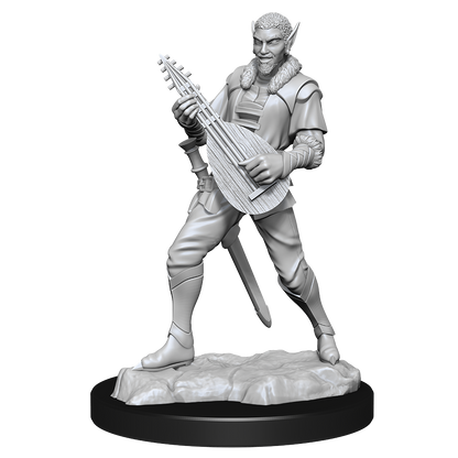 Critical Role: Pallid Elf Rogue and Bard Male