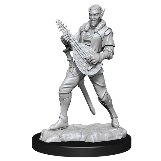 Critical Role: Pallid Elf Rogue and Bard Male