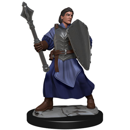 Critical Role: Human Clovis Concord Cleric Male