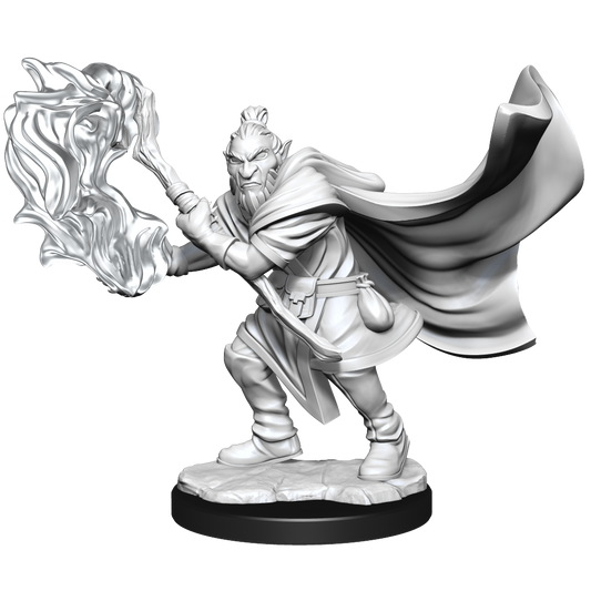 Critical Role: Hobgoblin Wizard and Druid Male