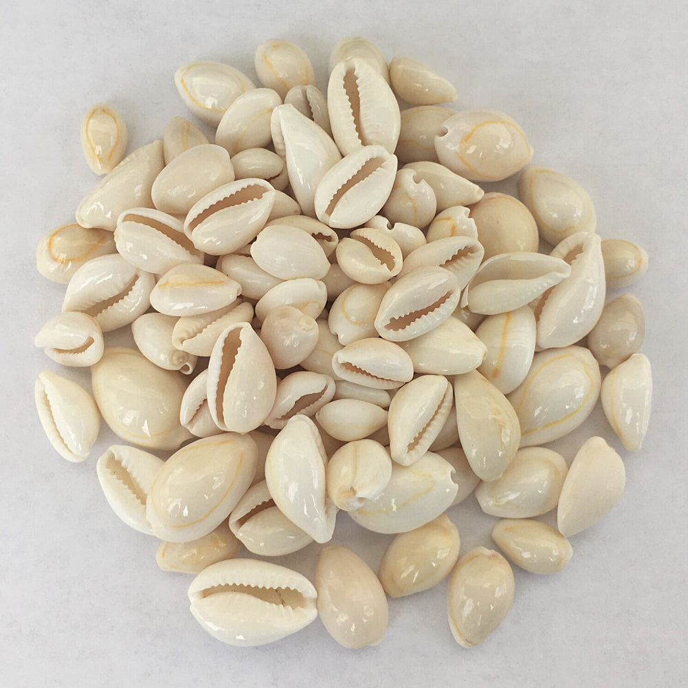 Cowrie Shells - 18 Pcs – Open Gaming Store