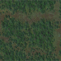 D&D: Icons of the Realms - Forest Battle Mat