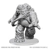 D&D: Nolzur's Marvelous Unpainted Miniatures - Eater of Knowledge
