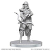 D&D: Nolzur's Marvelous Unpainted Miniatures - Assassin & Berserker