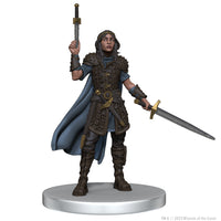 D&D: Icons of the Realms - The Wild Beyond the Witchlight -  Valor’s Call Starter Set