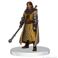 D&D: Icons of the Realms - The Wild Beyond the Witchlight -  Valor’s Call Starter Set