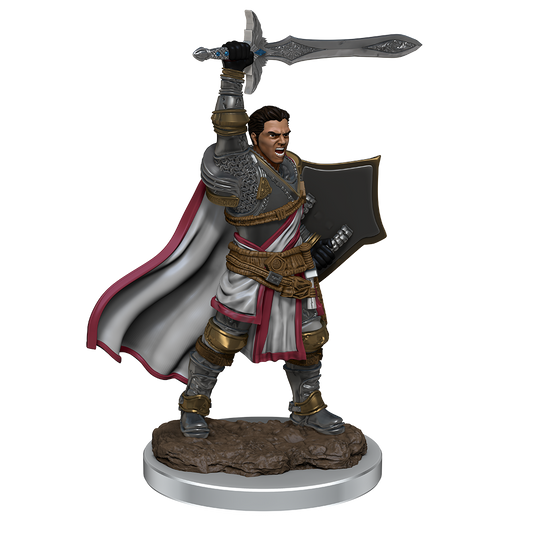 D&D: Icons of the Realms - Male Human Paladin Premium Figure