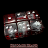 Dinosaur Island Dice Set