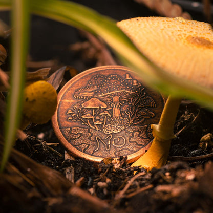 Fungible Token Decision Maker Coin in Solid Copper