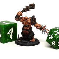 Dice of the Giants - Hill Giant D20