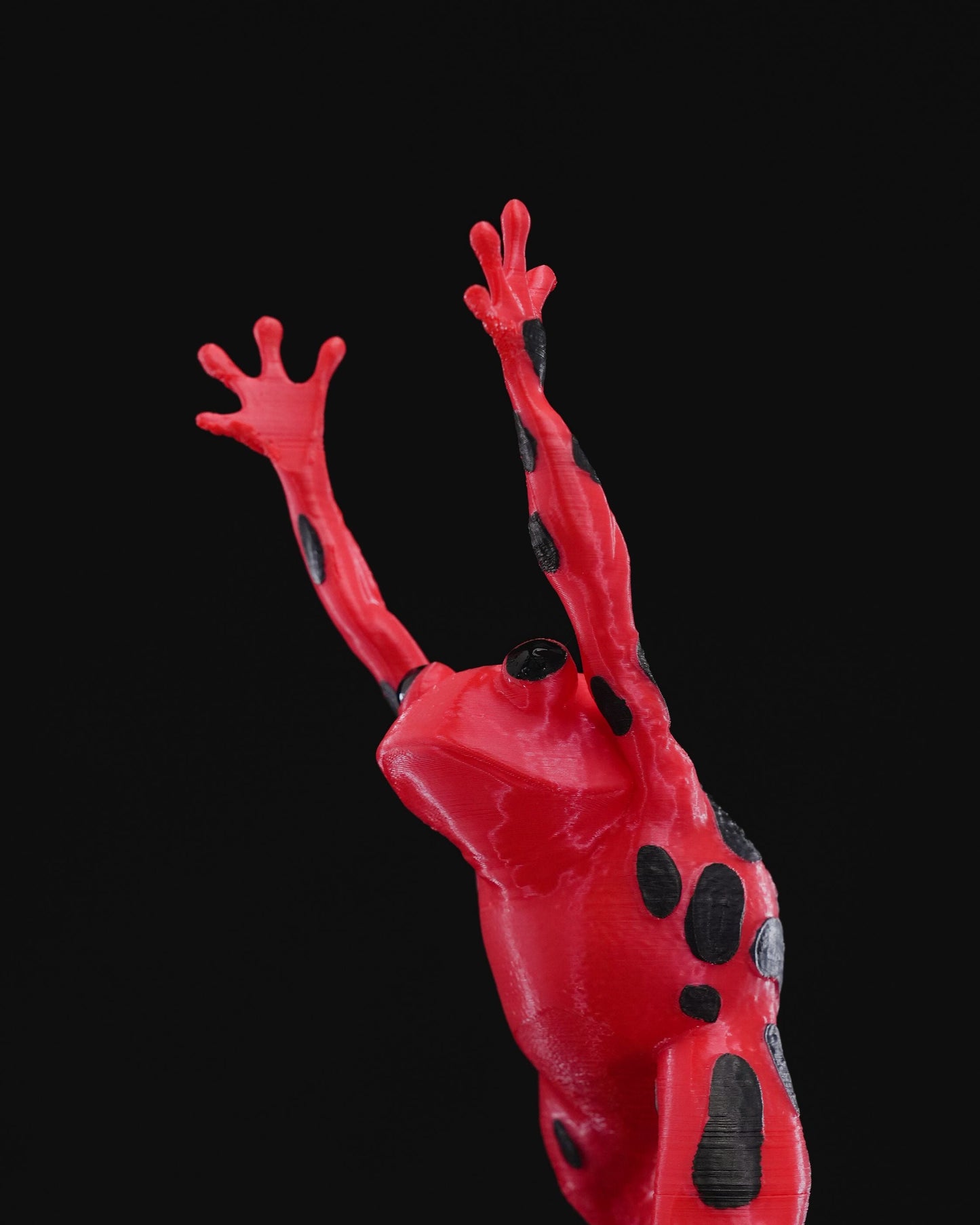 Frog 1 Wine Holder