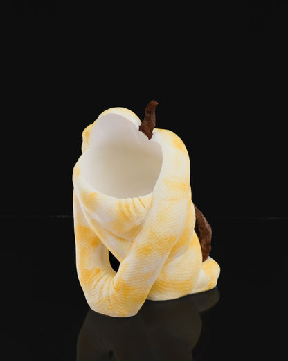 Python Wine Holder