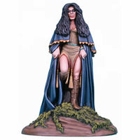 DSM1107 Female Witch 1 Miniature Elmore Masterworks Dark Sword