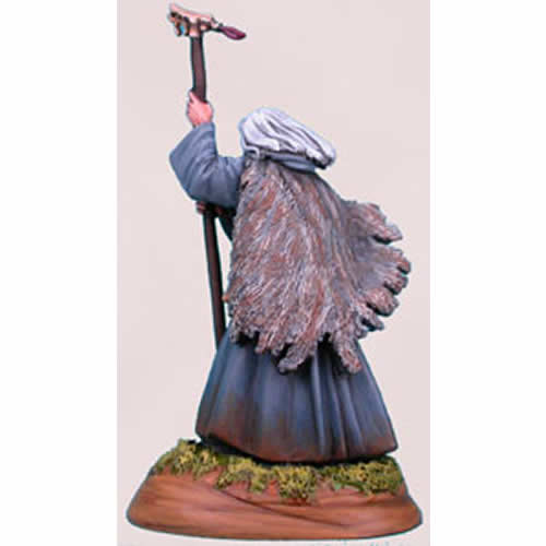 DSM1113 Male Wizard Miniature Elmore Masterwork Dark Sword Miniatures