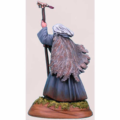 DSM1113 Male Wizard Miniature Elmore Masterwork Dark Sword Miniatures
