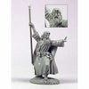 DSM1195 Male Mage With Staff Miniature Elmore Masterworks