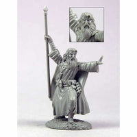 DSM1195 Male Mage With Staff Miniature Elmore Masterworks