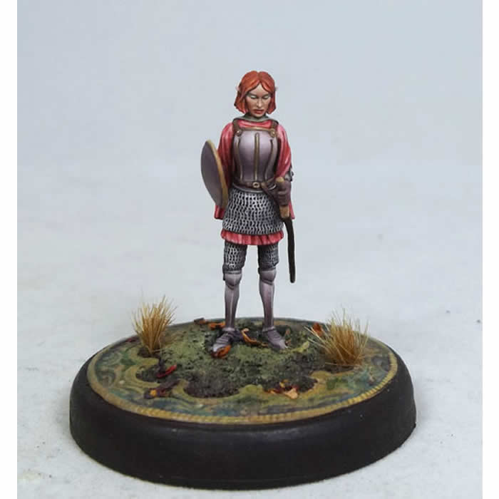 DSM4604 Tara Swiftblade Female Elven Warrior Miniature