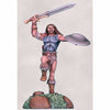DSM7106 Male Beastmaster with Sword Miniature Visions In Fantasy