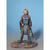 DSM7331 Female Paladin Miniature Visions In Fantasy Dark Sword Miniatures