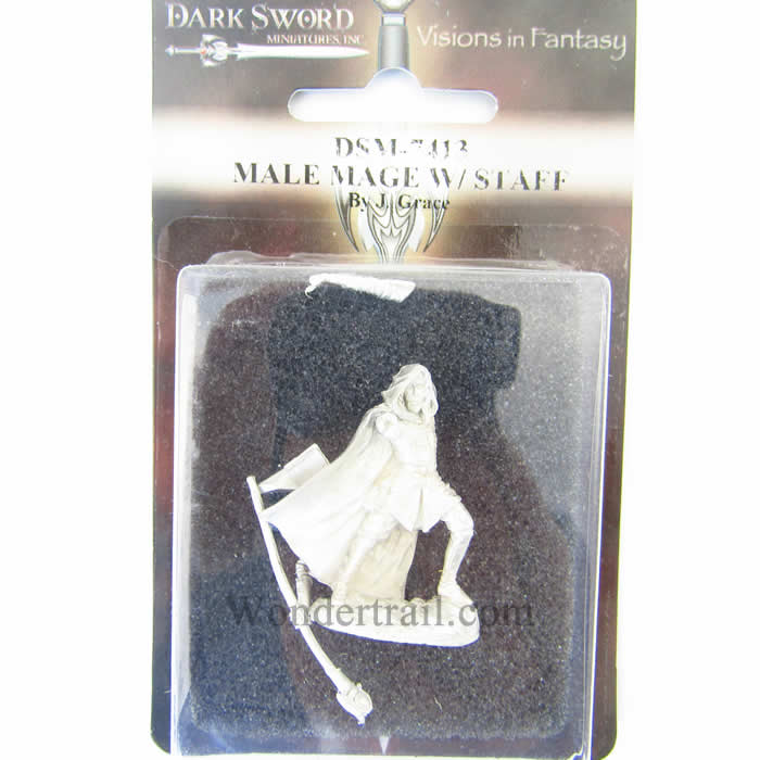 DSM7413 Male Mage with Staff Miniature Visions In Fantasy