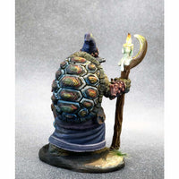 DSM8125 Tortoise Wizard with Apprentice Miniature Critter Kingdoms