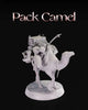 Pack Camel