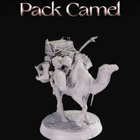 Pack Camel