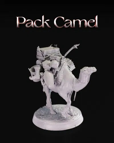 Pack Camel