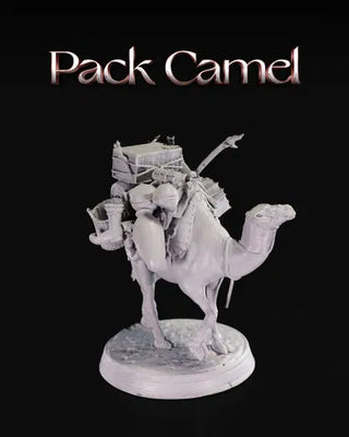 Pack Camel