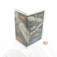 FLM28129 Raufdarr Hillcrusher Fighting Dragon Figure Kit 28mm Heroic Scale Miniature Unpainted