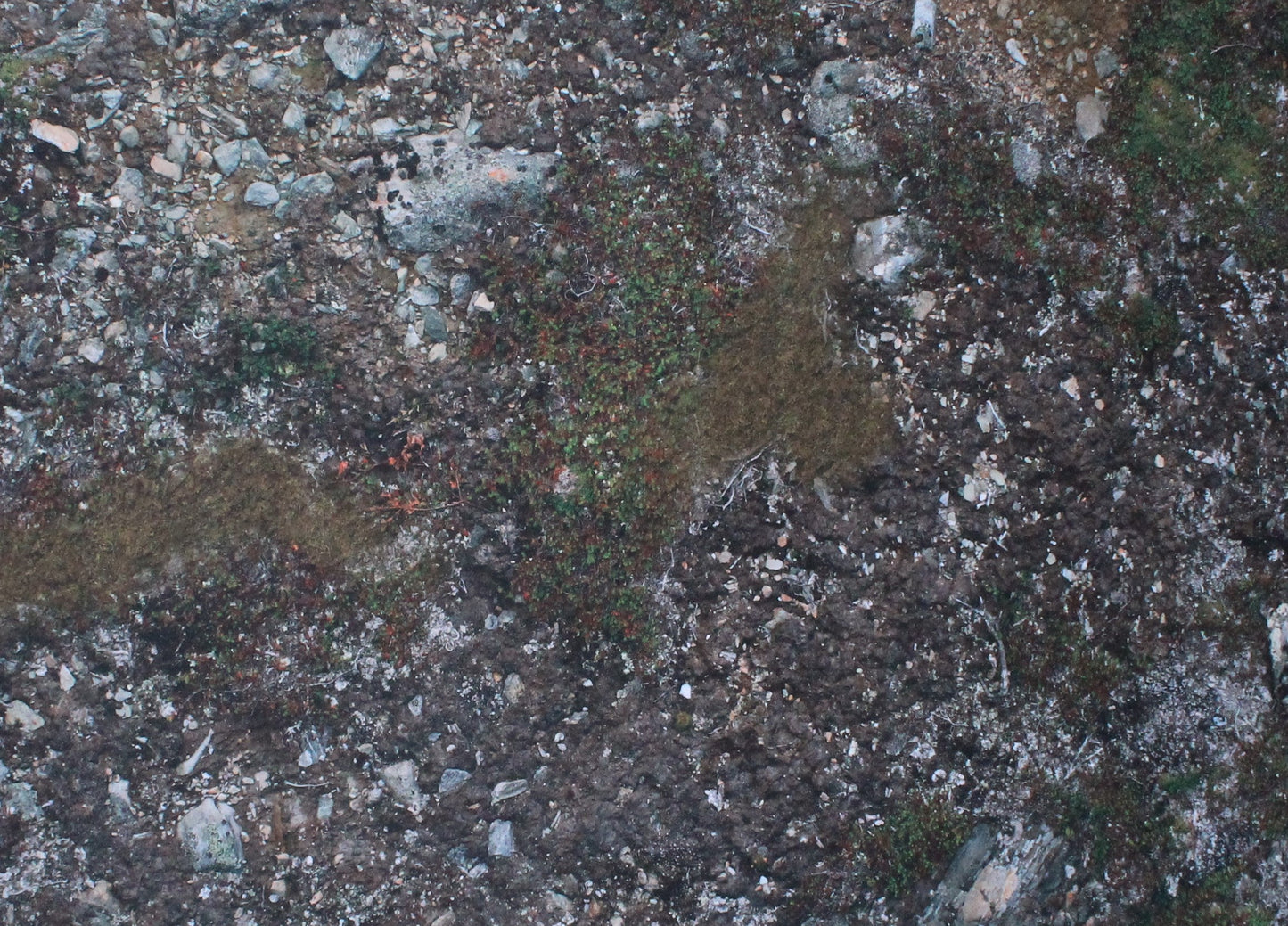 Muddy Battlefield - Neoprene Battle Mat