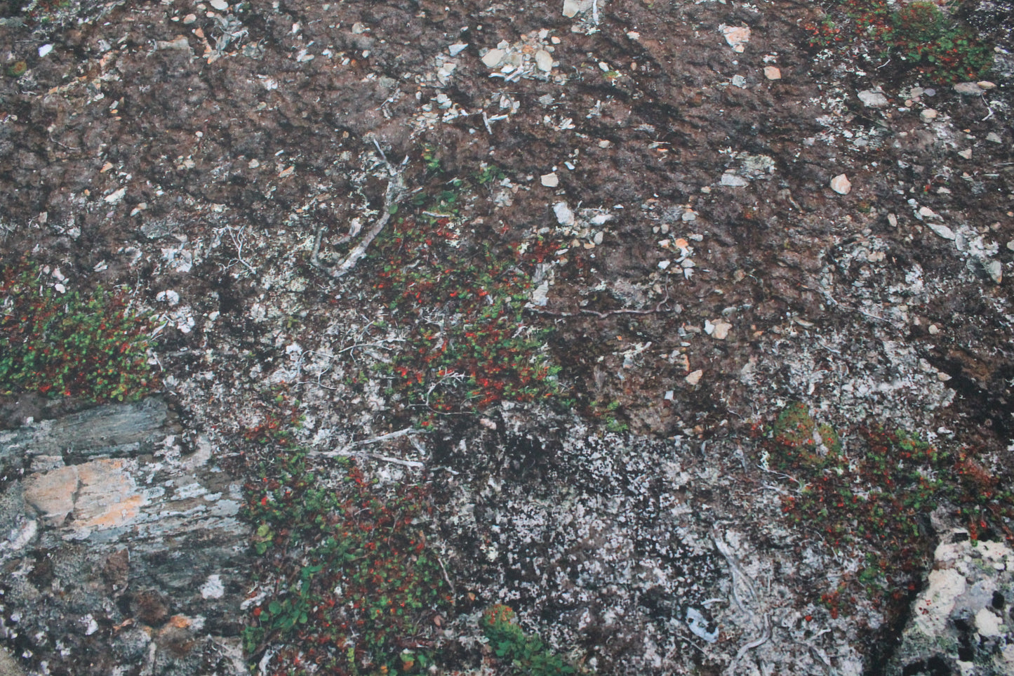 Muddy Battlefield - Neoprene Battle Mat