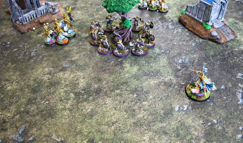 Field of Battle | Neoprene Battle Mat with Bag | Baron of Dice