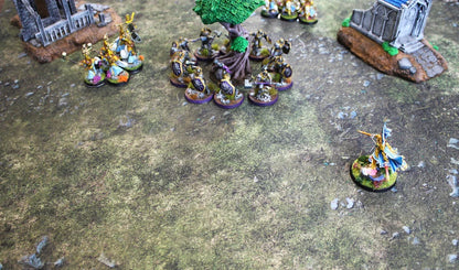 Field of Battle | Neoprene Battle Mat with Bag | Baron of Dice