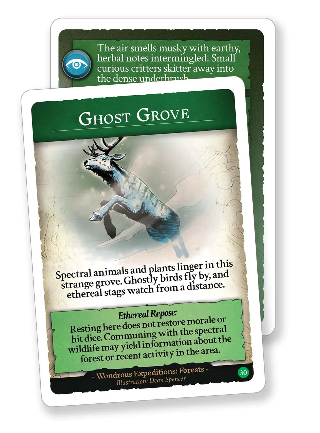 Wondrous Expeditions: Forests Card Deck