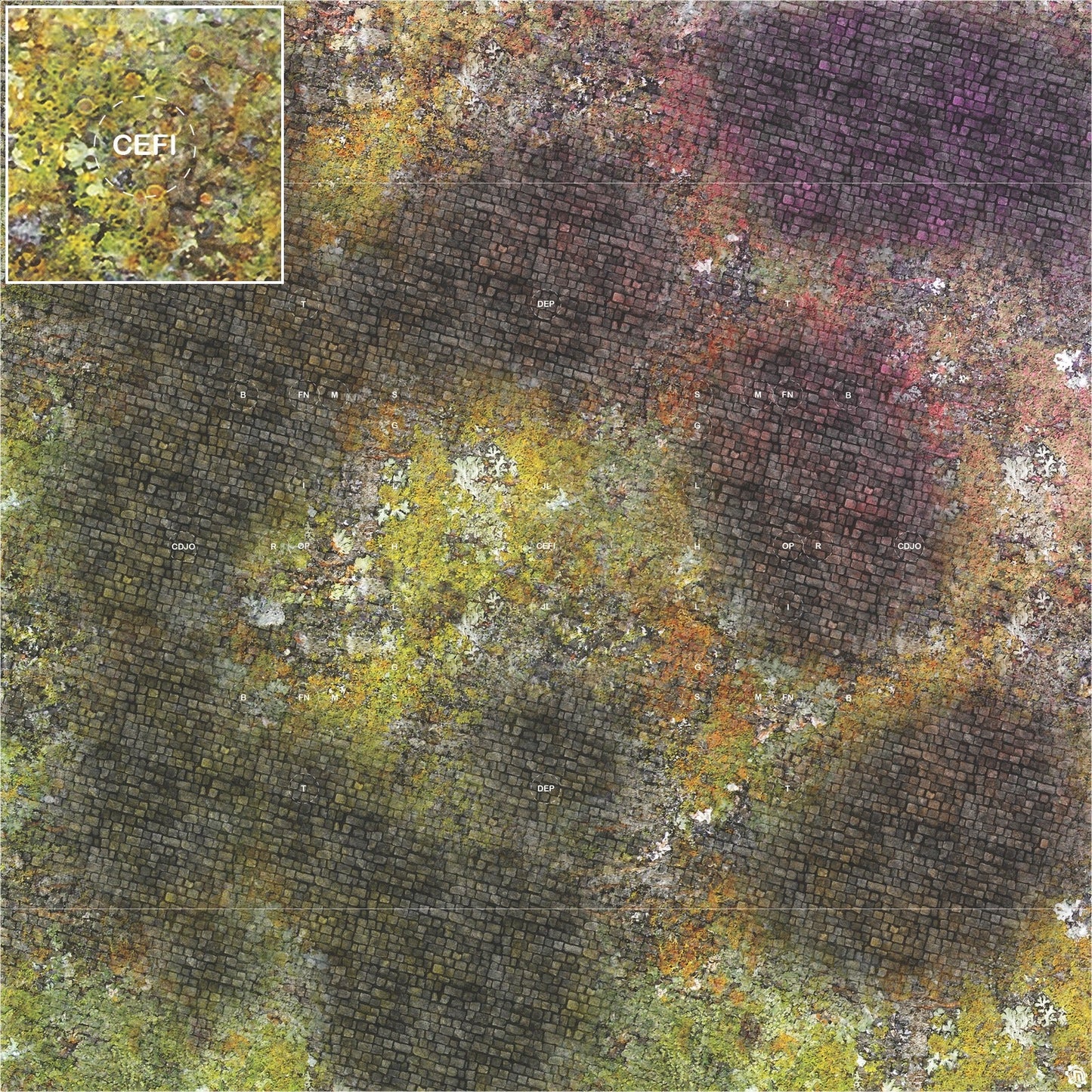 Mats by Mars: Abandoned City v1.0 Tabletop Wargaming Play Mat
