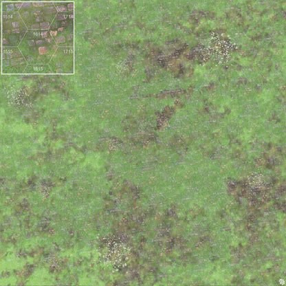 Mats by Mars: Overgrown Cobbles v1.0 Tabletop Wargaming Play Mat