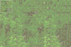 Mats by Mars: Overgrown Cobbles v1.0 Tabletop Wargaming Play Mat