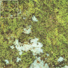 Mats by Mars: Swamplands v1.0 Tabletop Wargaming Play Mat