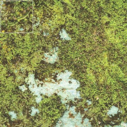 Mats by Mars: Swamplands v1.0 Tabletop Wargaming Play Mat