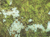 Mats by Mars: Swamplands v1.0 Tabletop Wargaming Play Mat