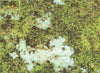 Mats by Mars: Swamplands v1.0 Tabletop Wargaming Play Mat