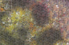Mats by Mars: Abandoned City v1.0 Tabletop Wargaming Play Mat