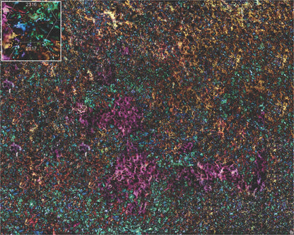 Mats by Mars: Hab Blok C Tabletop Wargaming Play Mat