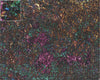 Mats by Mars: Hab Blok C Tabletop Wargaming Play Mat