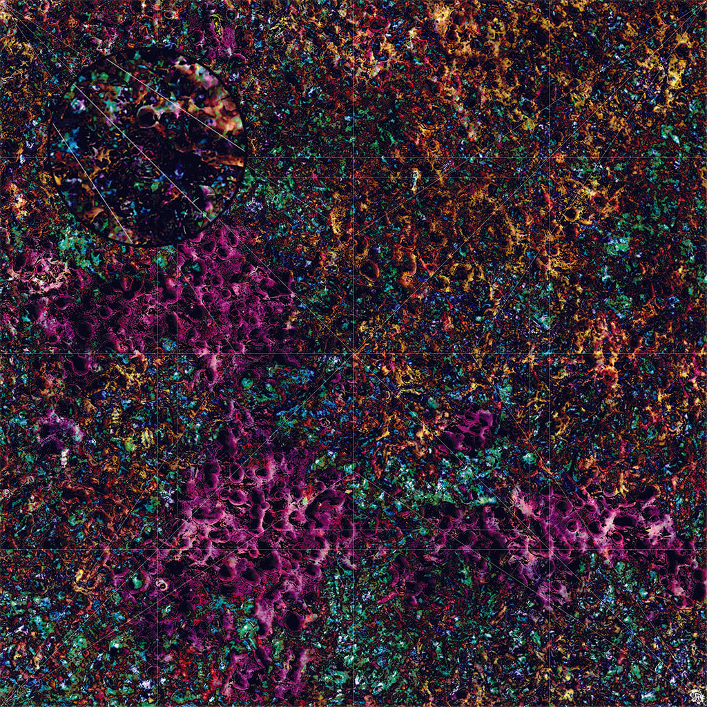 Mats by Mars: Mushroom Forest Tabletop Wargaming Play Mat