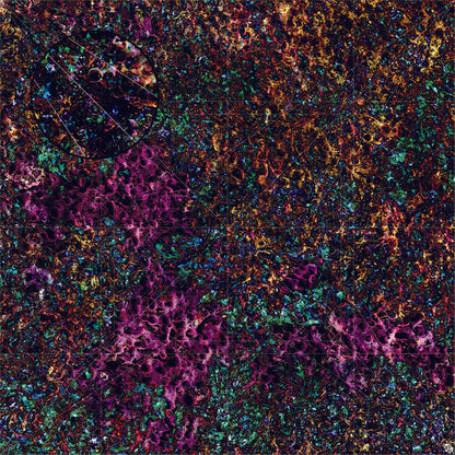 Mats by Mars: Mushroom Forest Tabletop Wargaming Play Mat