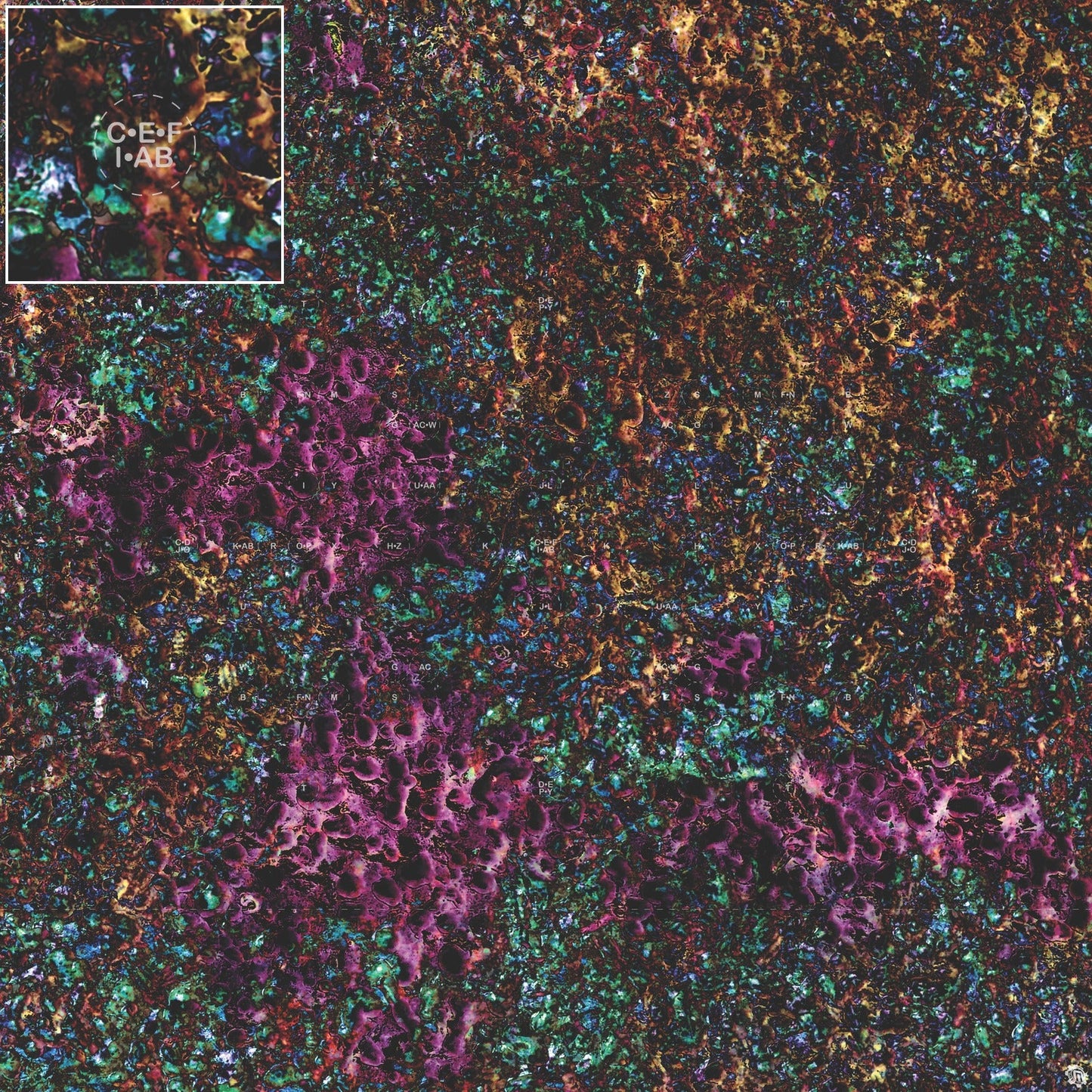 Mats by Mars: Mushroom Forest Tabletop Wargaming Play Mat