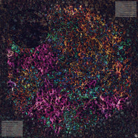 Mats by Mars: Mushroom Forest Tabletop Wargaming Play Mat